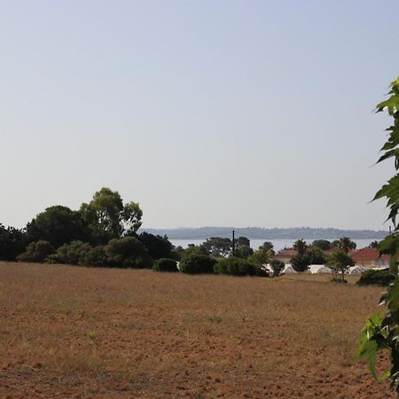 Apartmán Le Petit Sud Carqueiranne Exteriér fotografie